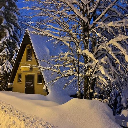 Holiday Home Kragovic Kopaonik Exterior photo